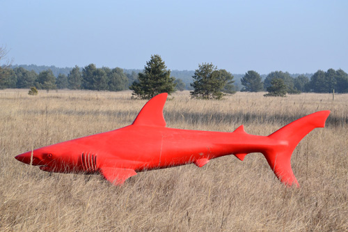 Červení žraloci v krajině