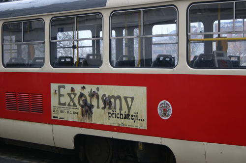 exotismy 2007