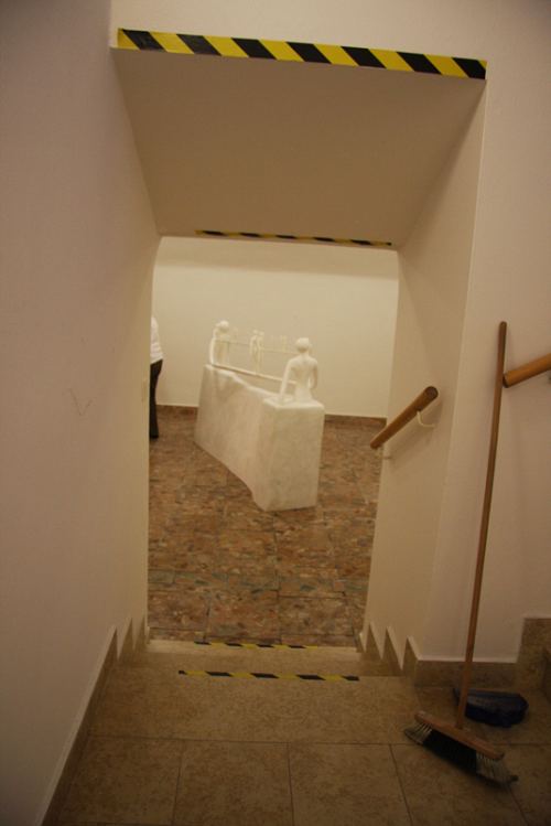 výstava v Trenčíně 2008-2009